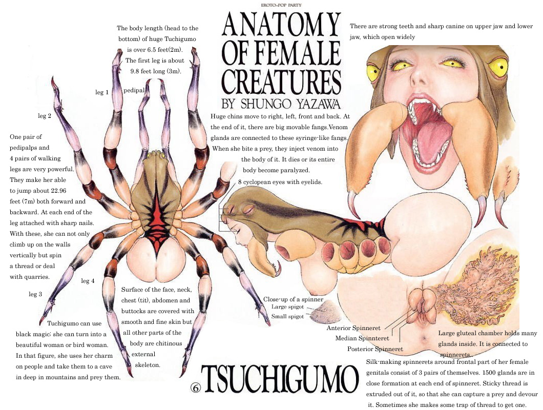 Anatomy of female creatures by shungo yazawa